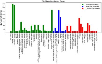 Phytoplasma Infection Influences Gene Expression in American Cranberry